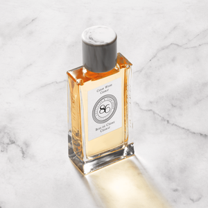 Cedar Wood Eau de Parfum  | L’Occitane en Provence
