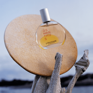 Osmanthus Perfume in Oil 50 ml | L’Occitane en Provence